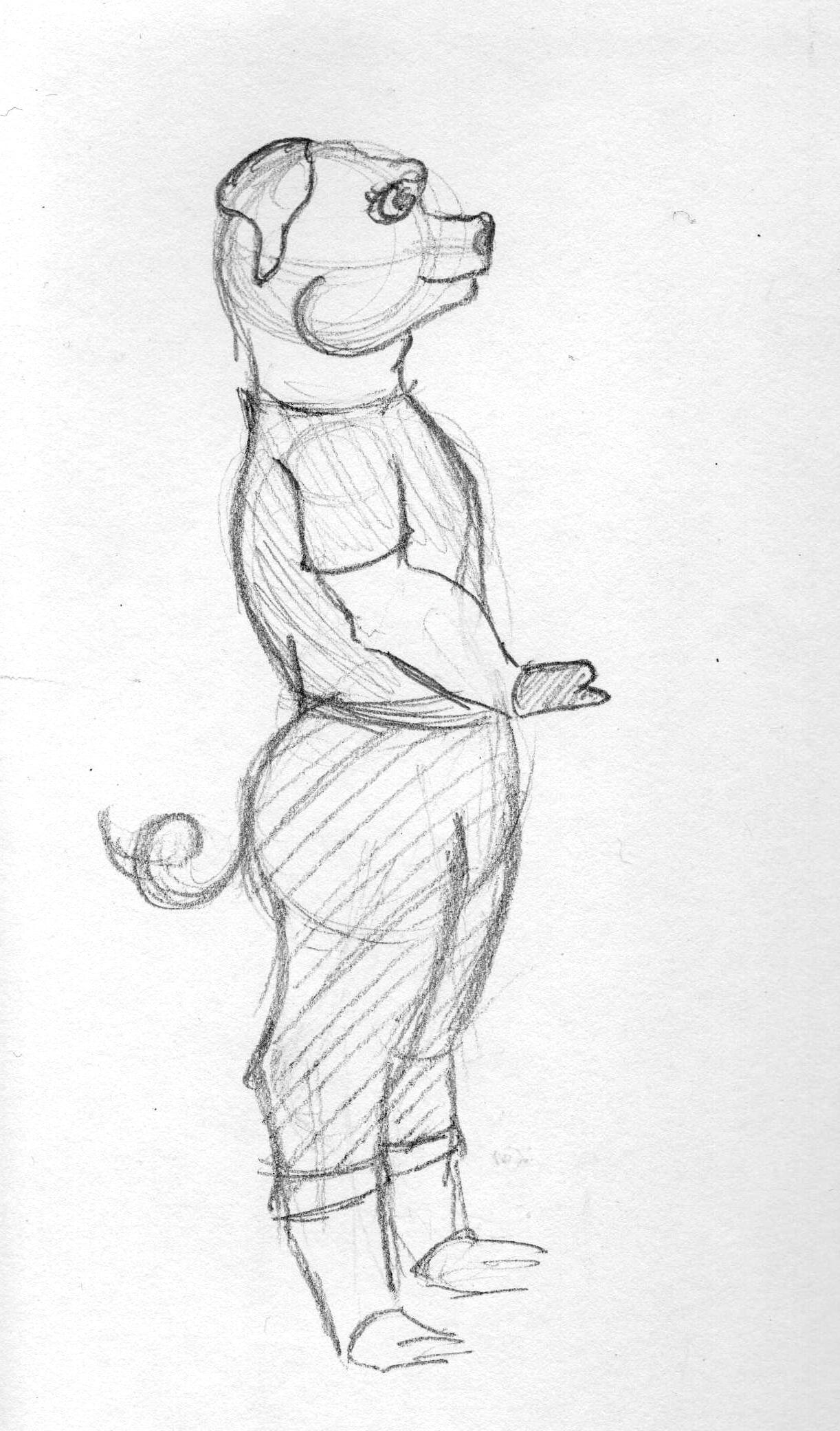 Anthro Pig