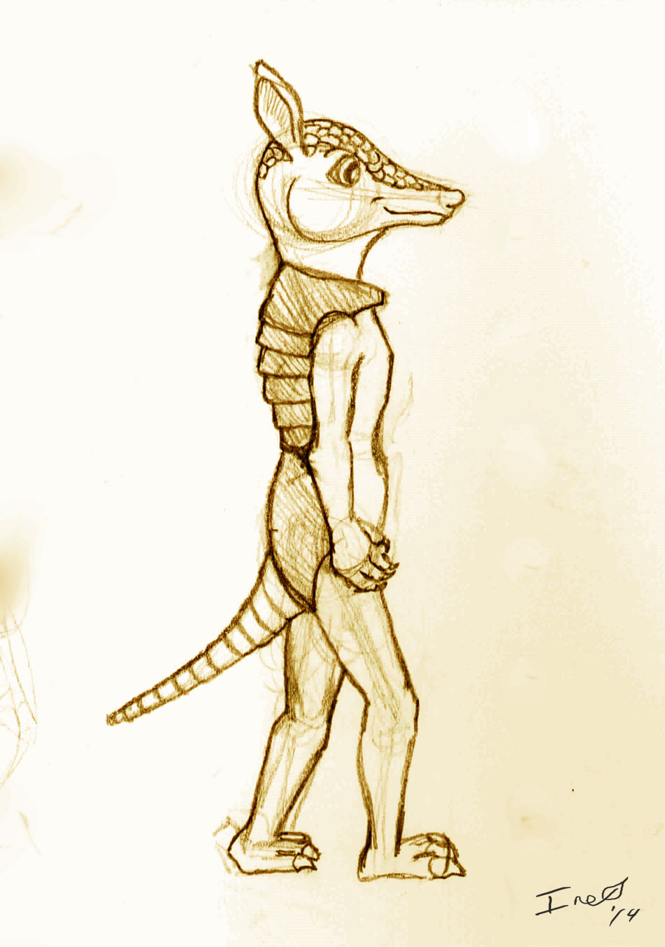 Armadillo Sketch