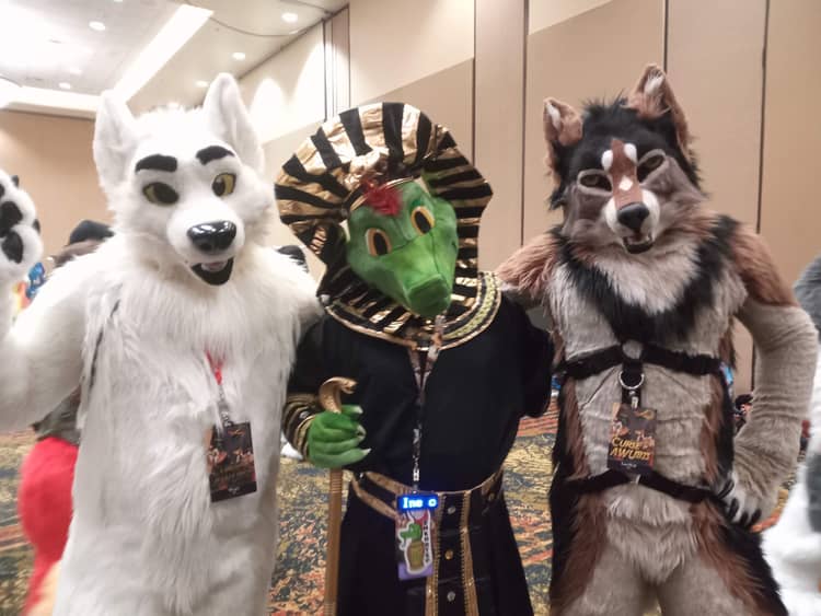 Ine's fursuit, a green lizard with red feathers on his head, wearing a pharaoh outfit and  standing with a white arctic wolf and a brown, black, and white wolf