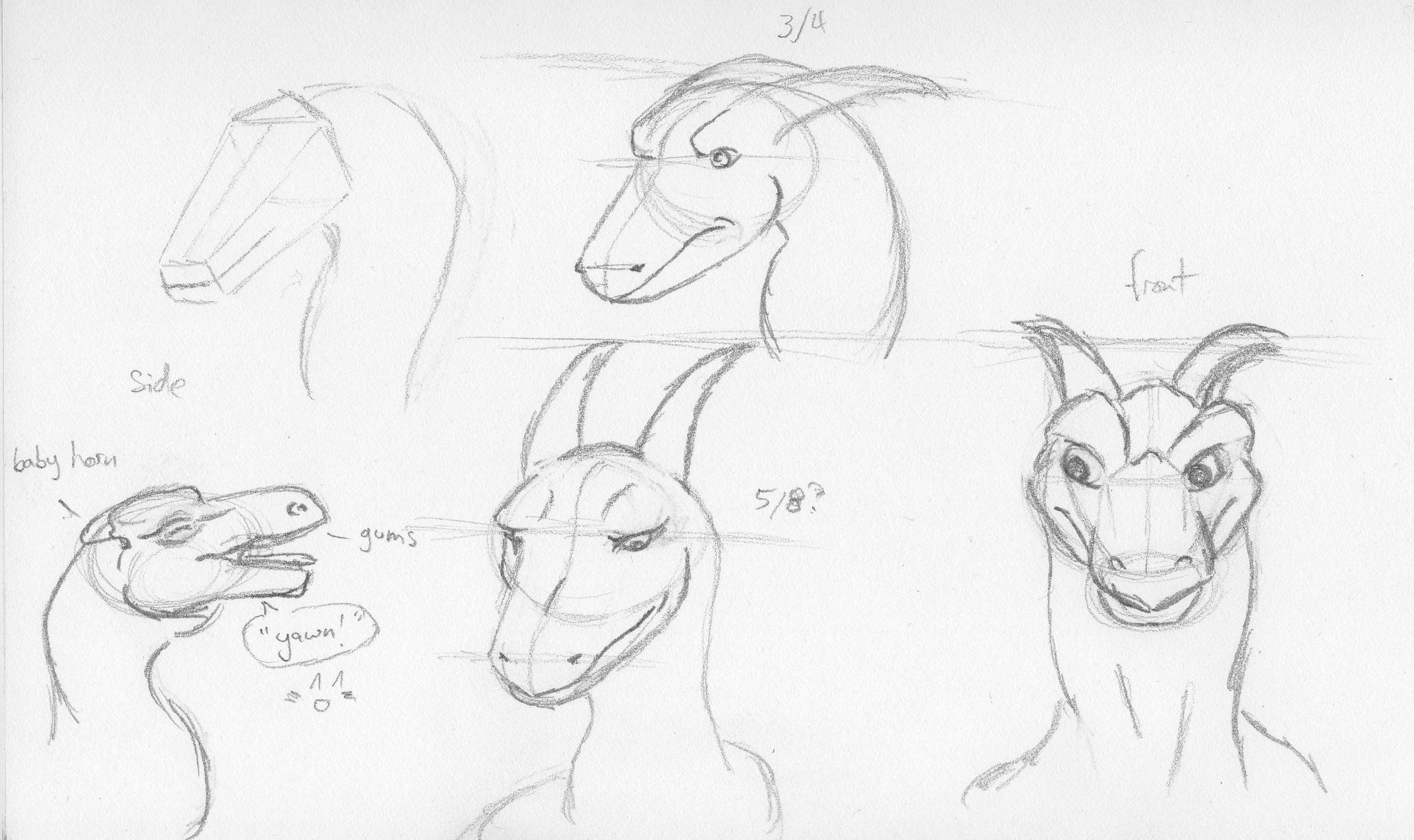 Dragon Head Sketches