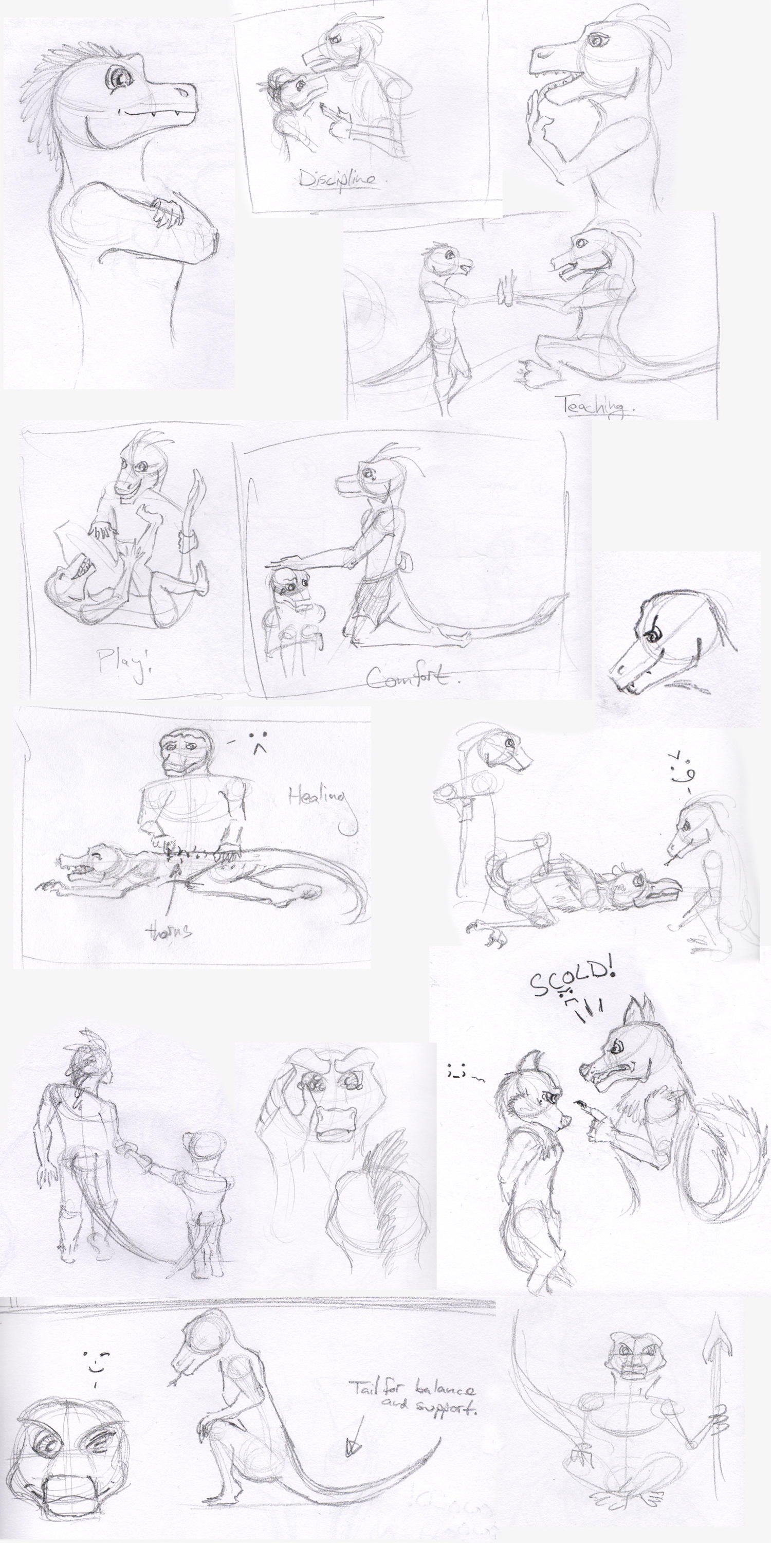 Expressions and Interactions