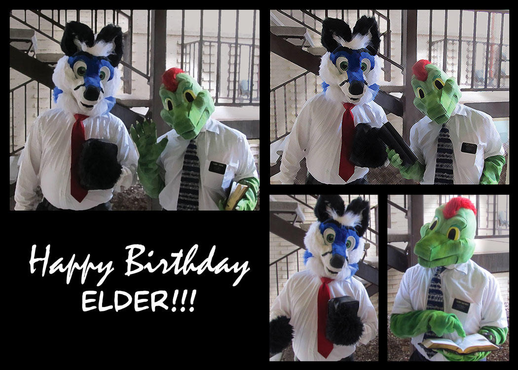 Furry Mission Birthday