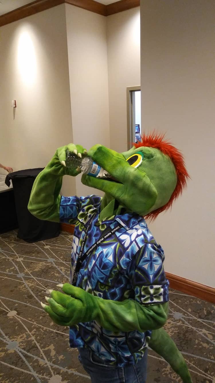Ine's fursuit, a green lizard with red feathers on his head, drinking from a plastic water bottle.