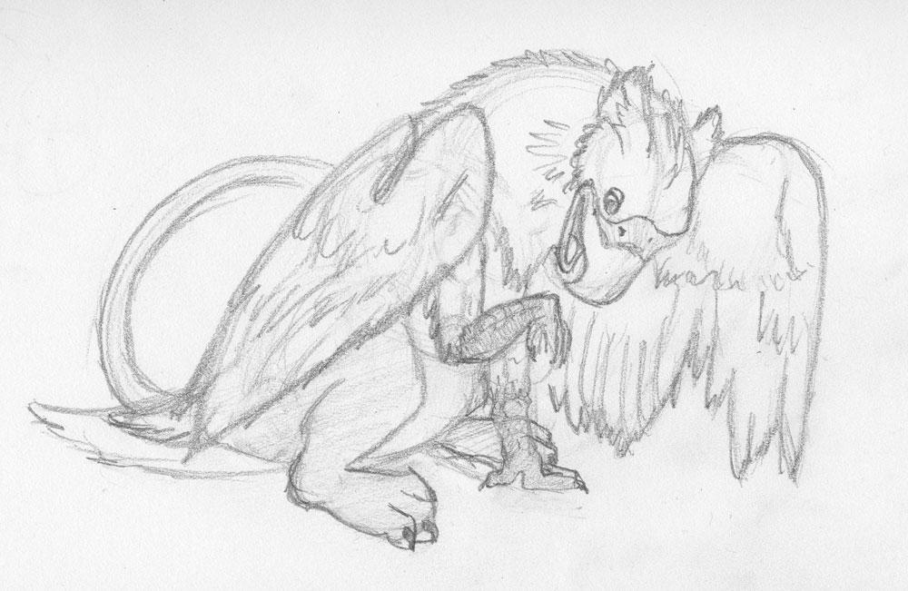 Griffin Sketch