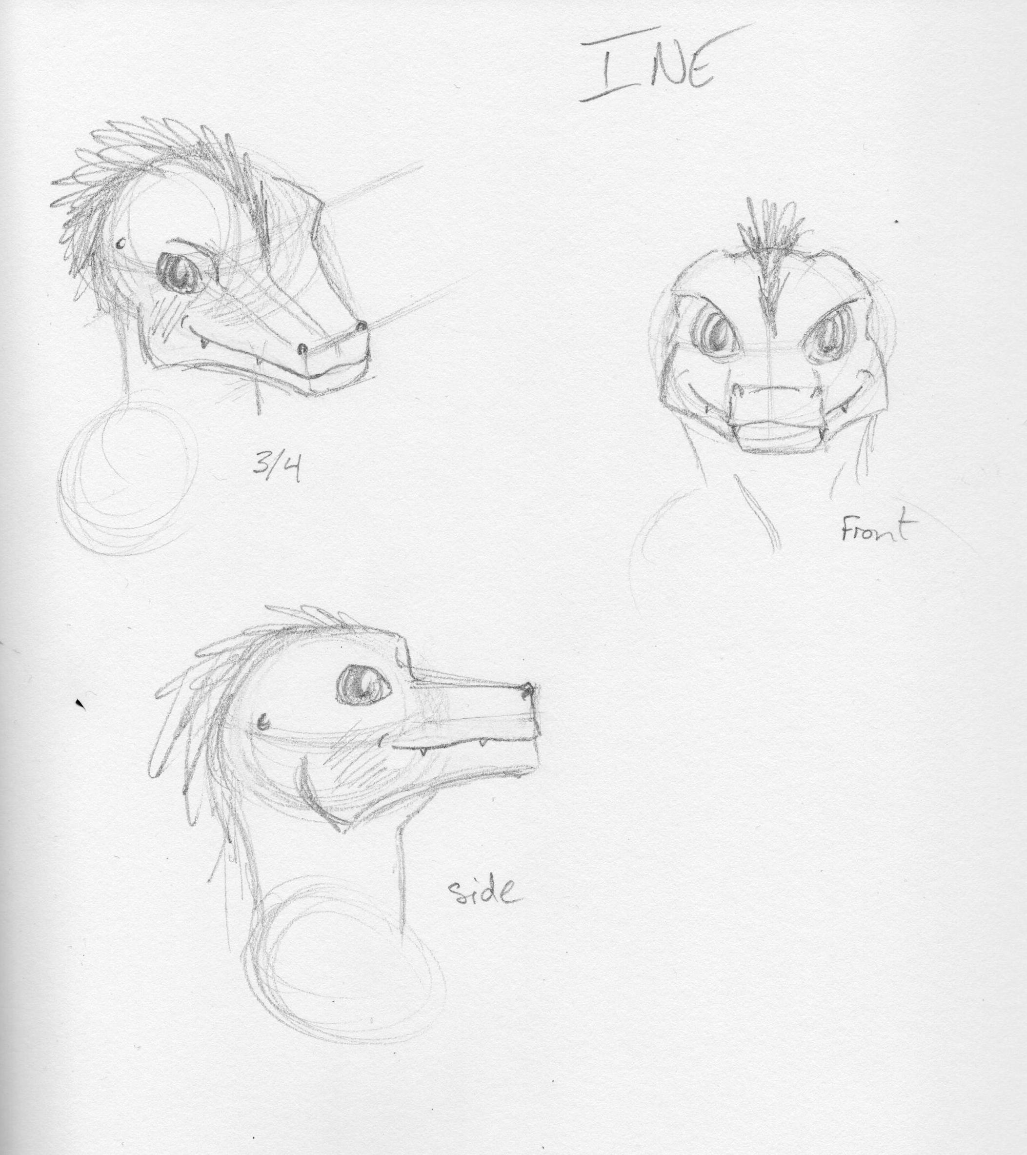 Ine face-view practice