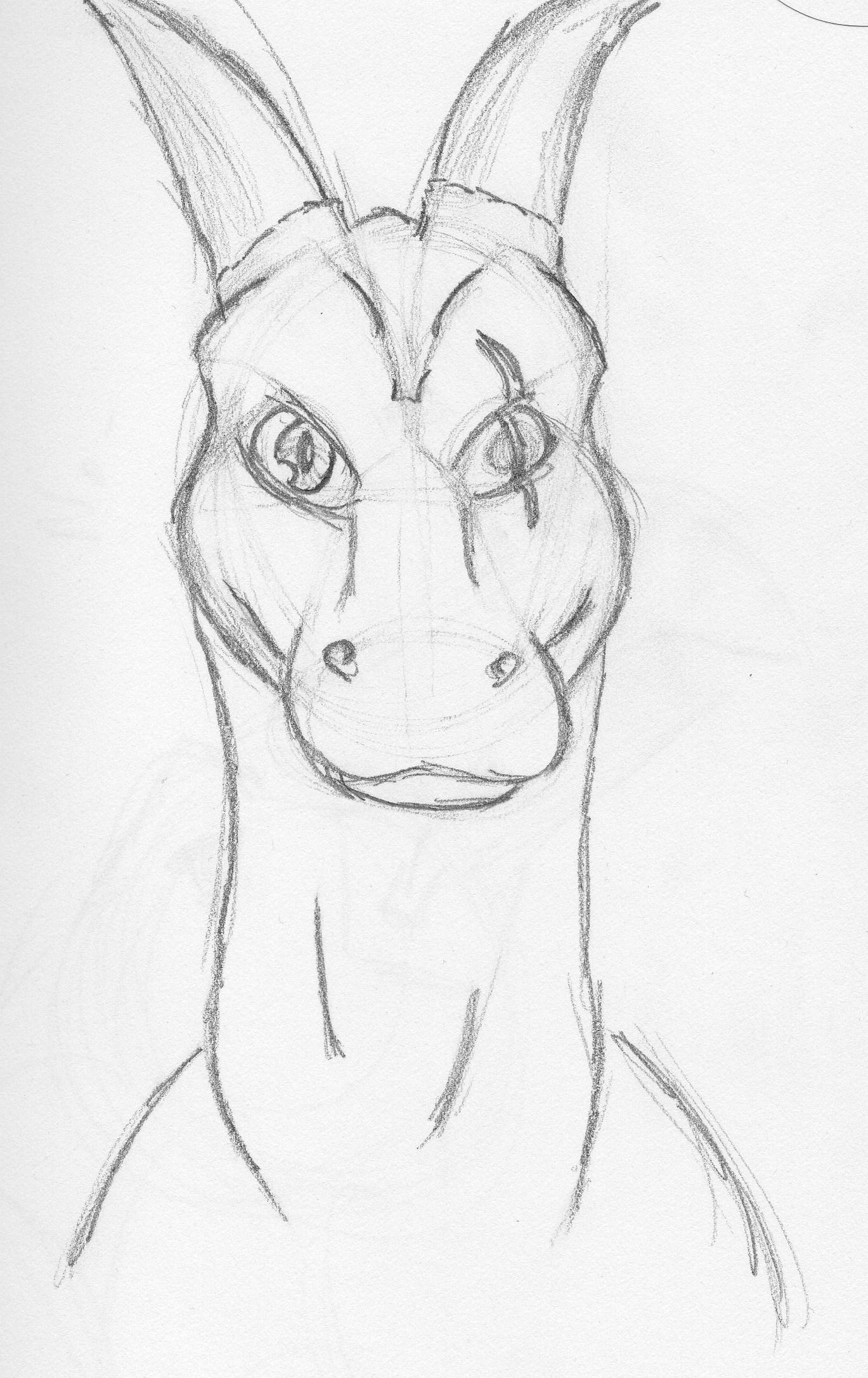 Scarred Dragon Sketch