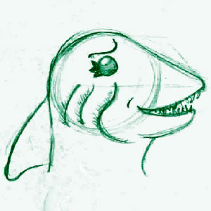 Shark Head Sketch