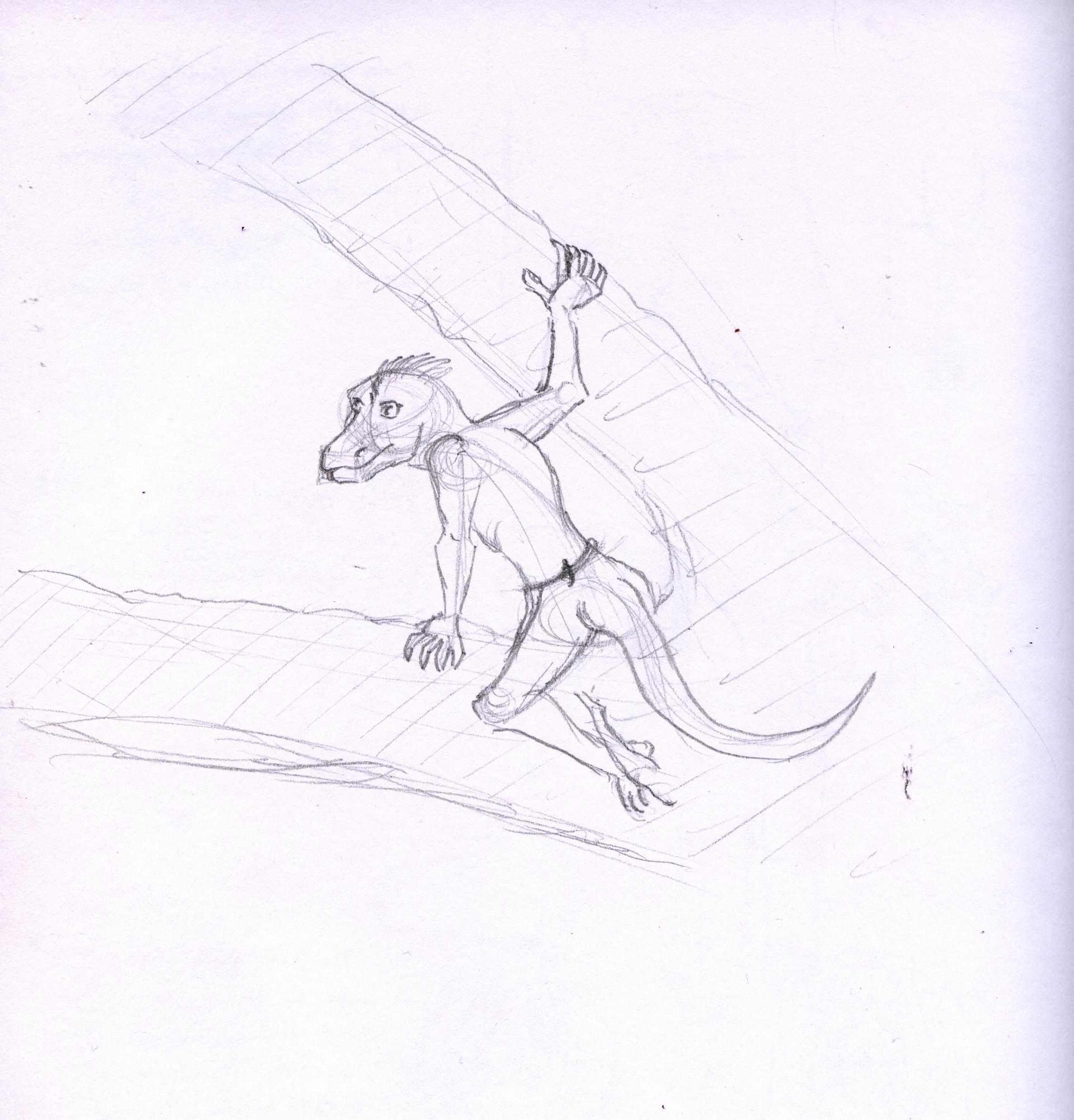 Tree Lizard Sketch